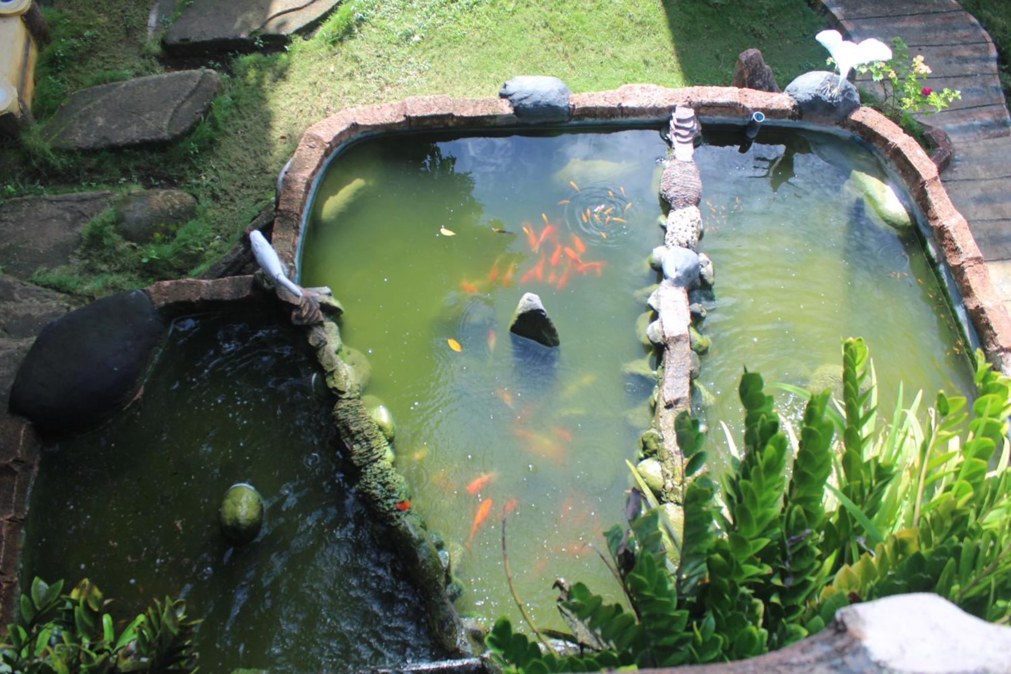 โรงแรม กรีน พรุนดี ลาบวนบาโจ ภายนอก รูปภาพ